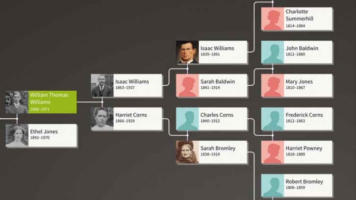 Ancestry family tree