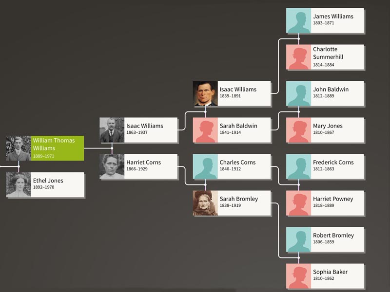 Ancestry family tree